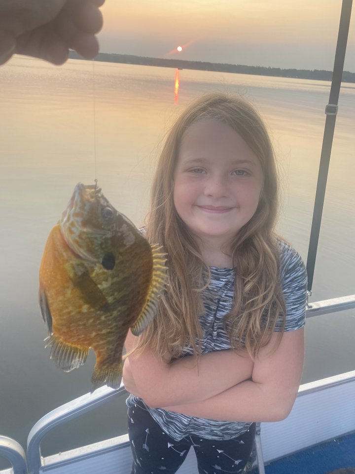 quinnbluegill4